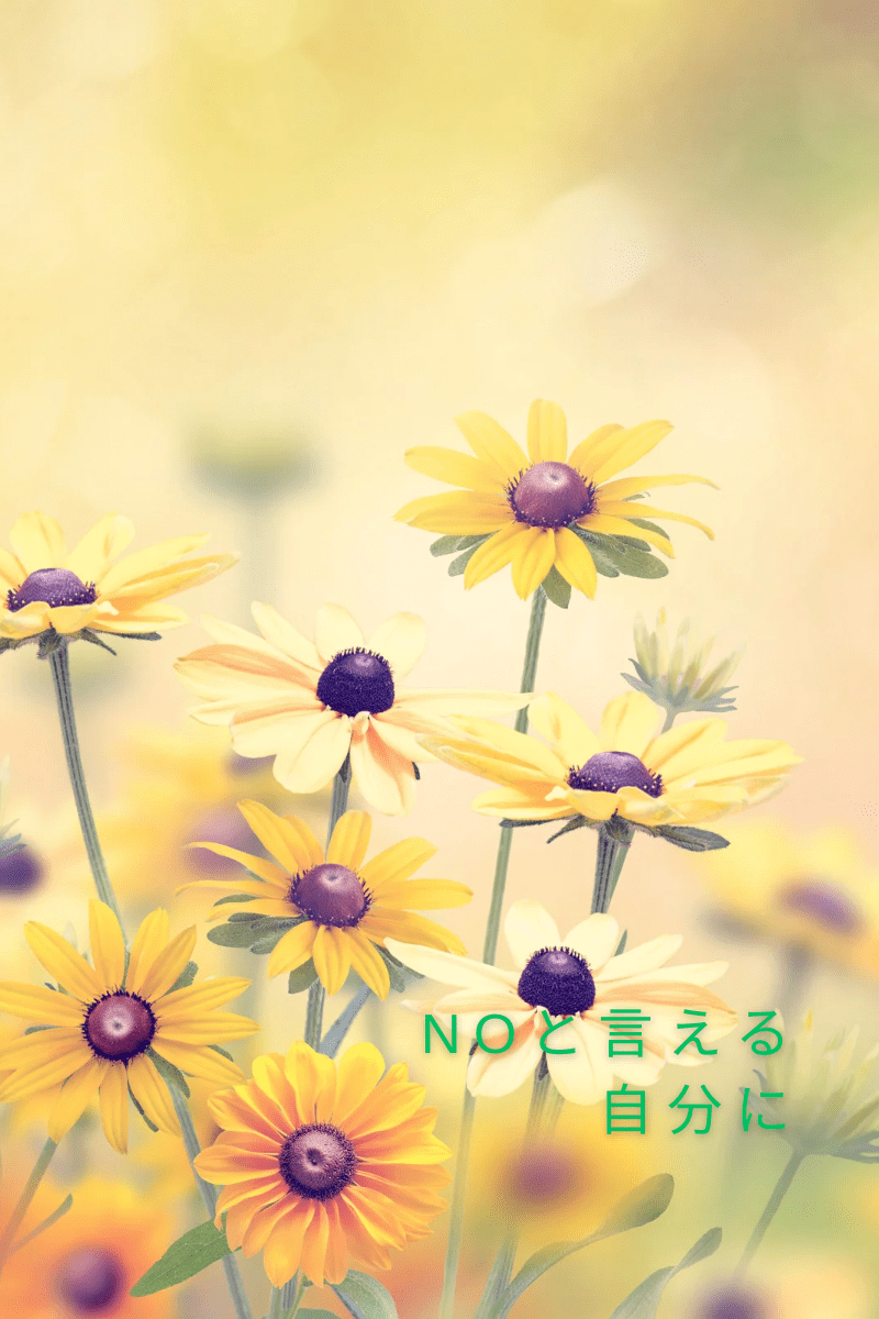 「断るのが苦手な私へ」 〜受け入れる優しさと、自分を守る力〜