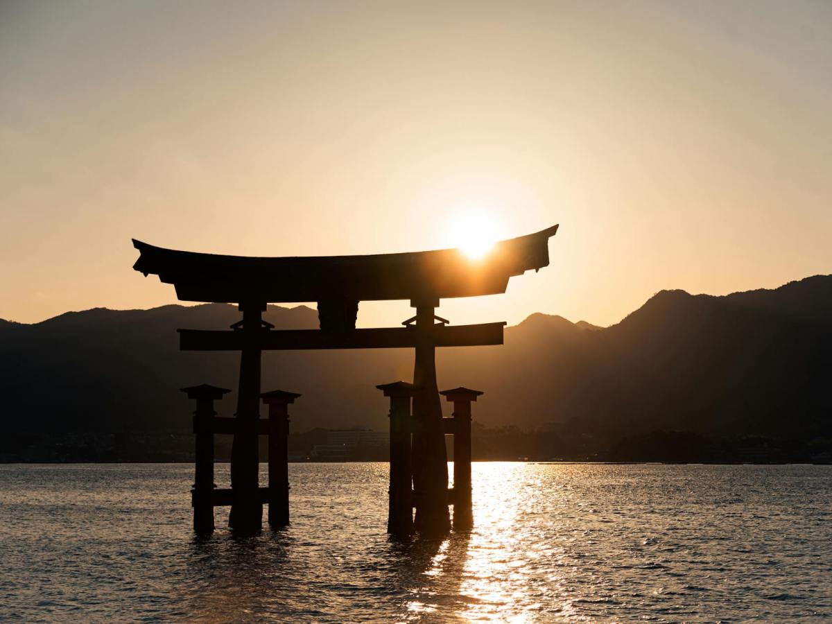 11月23日は新嘗祭🌾星とタロットで見る実りの意味